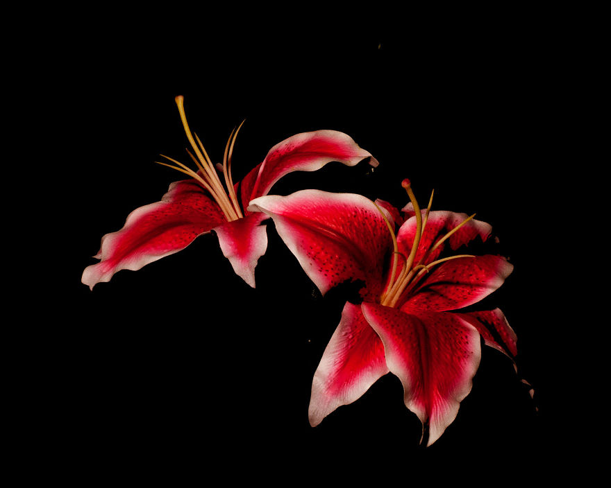 Photographer Creates A Fine Line Between Real And Artificial