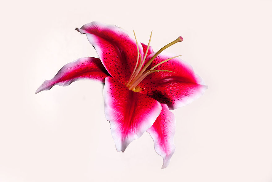 Photographer Creates A Fine Line Between Real And Artificial Photographer Creates A Fine Line Between Real And Artificial