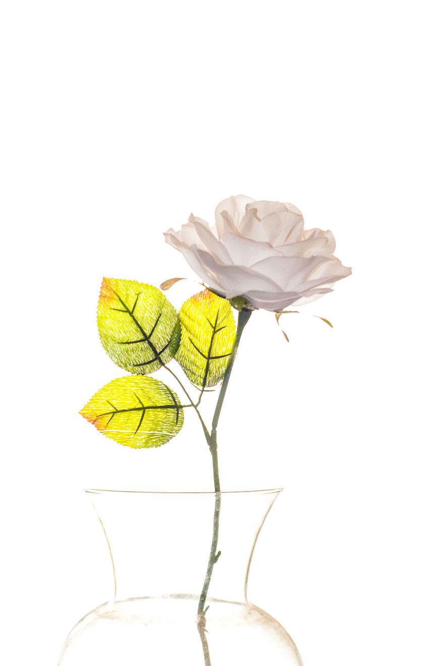 Photographer Creates A Fine Line Between Real And Artificial