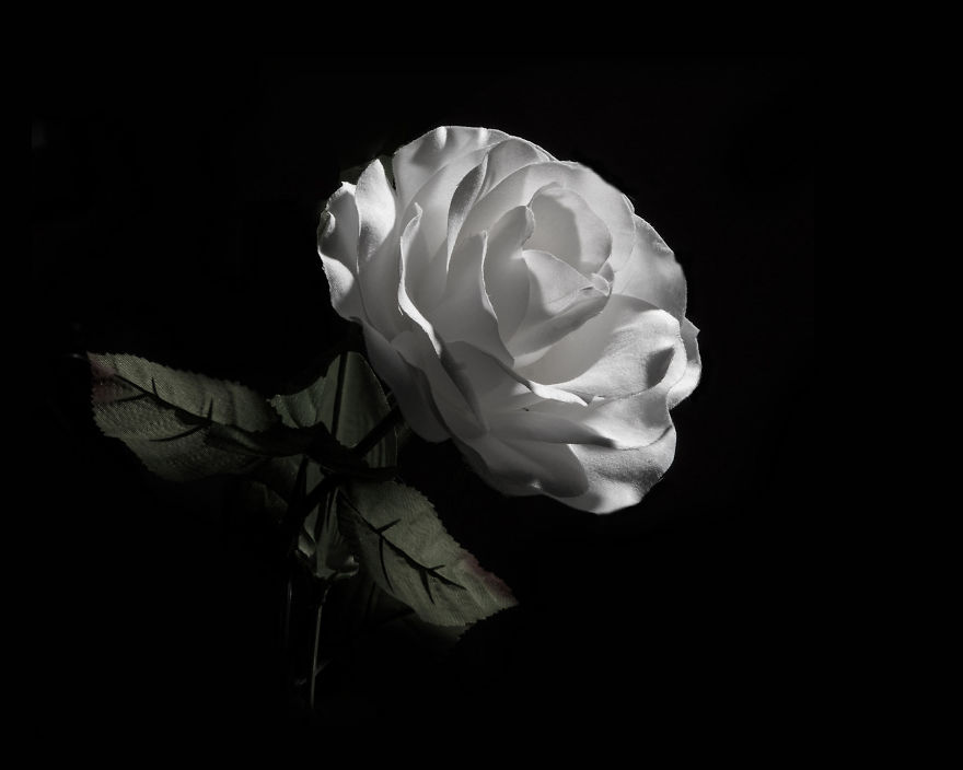 Photographer Creates A Fine Line Between Real And Artificial