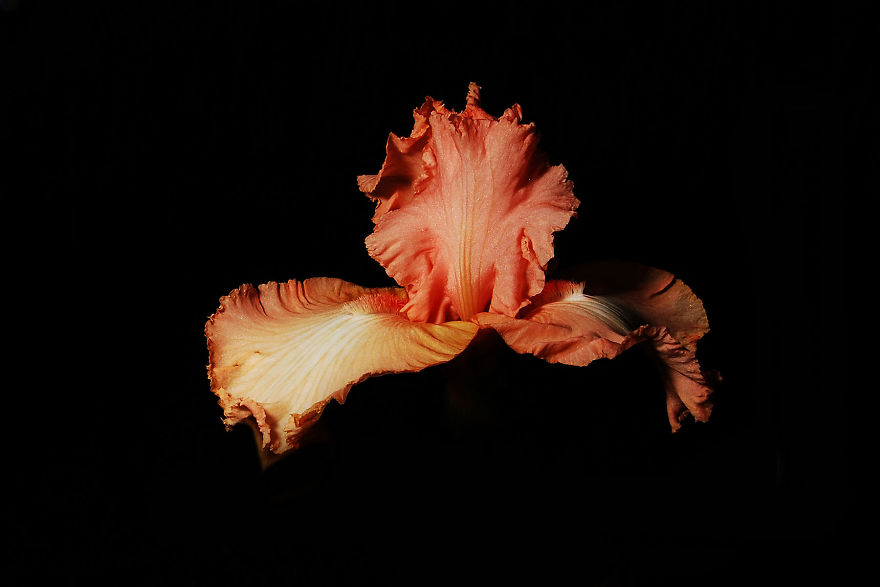 Photographer Creates A Fine Line Between Real And Artificial