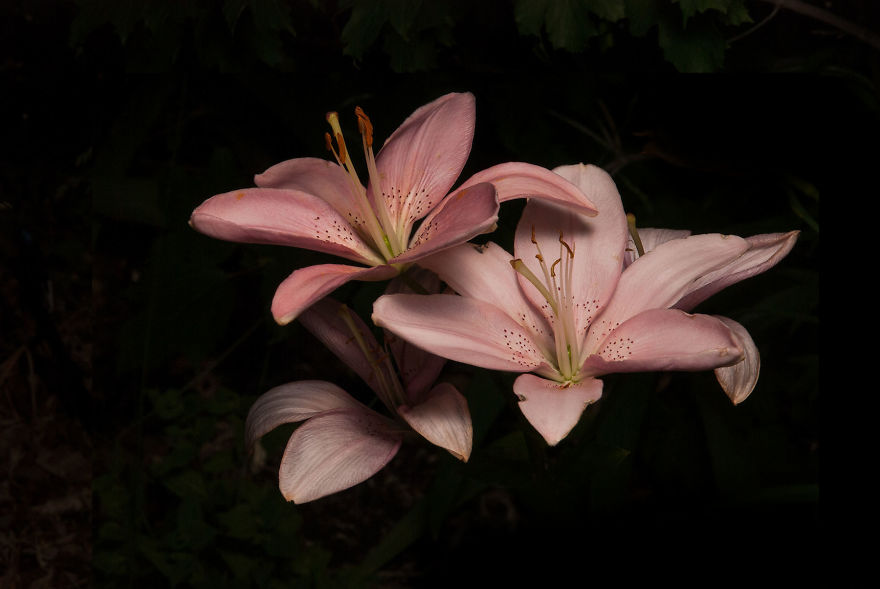 Photographer Creates A Fine Line Between Real And Artificial