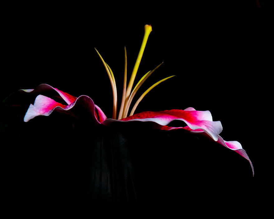 Photographer Creates A Fine Line Between Real And Artificial