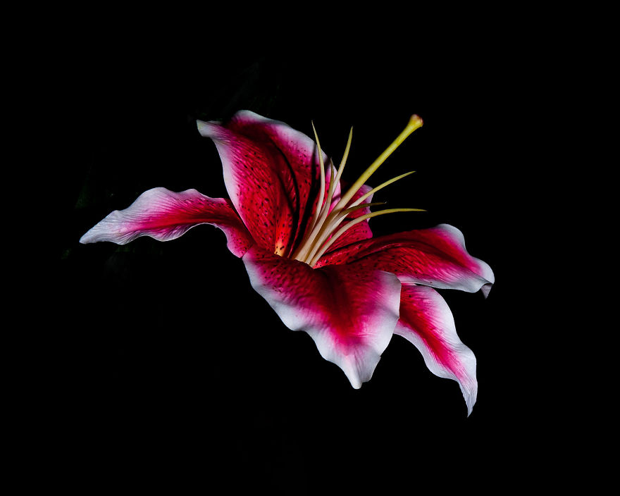 Photographer Creates A Fine Line Between Real And Artificial