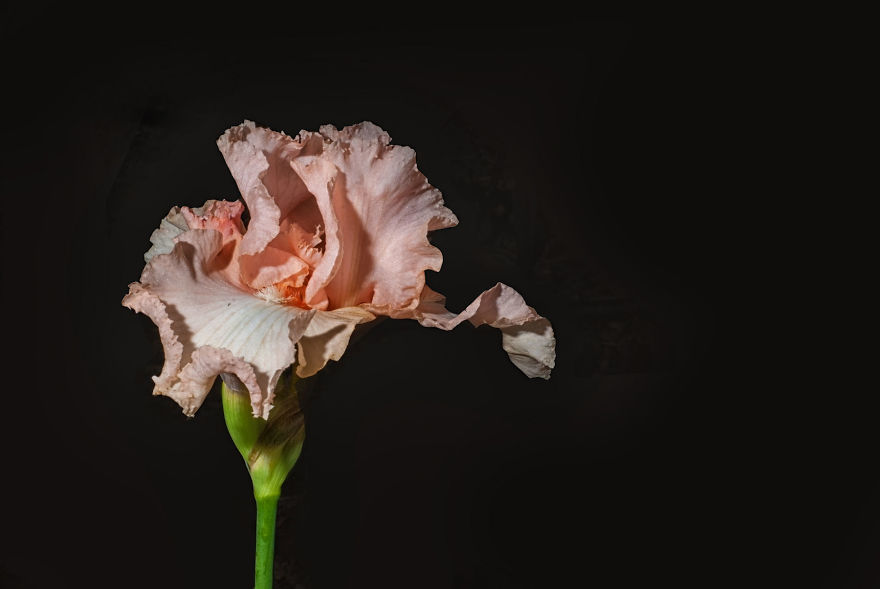 Photographer Creates A Fine Line Between Real And Artificial