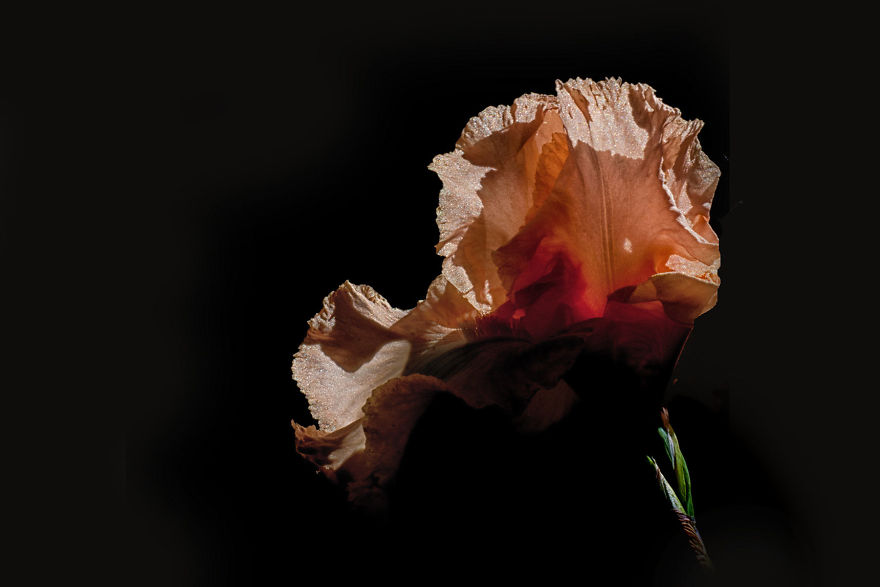 Photographer Creates A Fine Line Between Real And Artificial