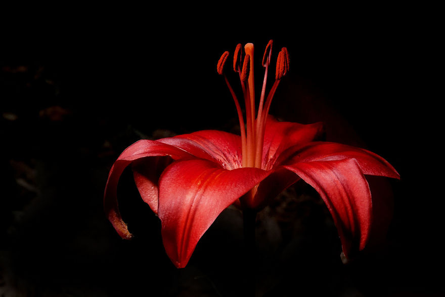 Photographer Creates A Fine Line Between Real And Artificial Photographer Creates A Fine Line Between Real And Artificial