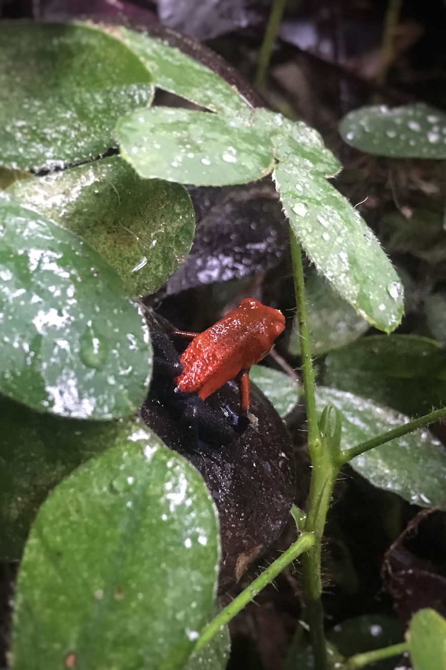 Why I'm Taking My 8 Year Old Daughter With Autism To The Forests Of The World Why I'm Taking My 8 Year Old Daughter With Autism To The Forests Of The World