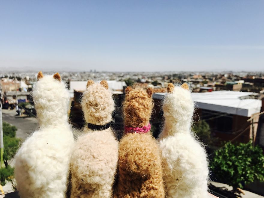 I Make Animal Figures From Peruvian Alpaca