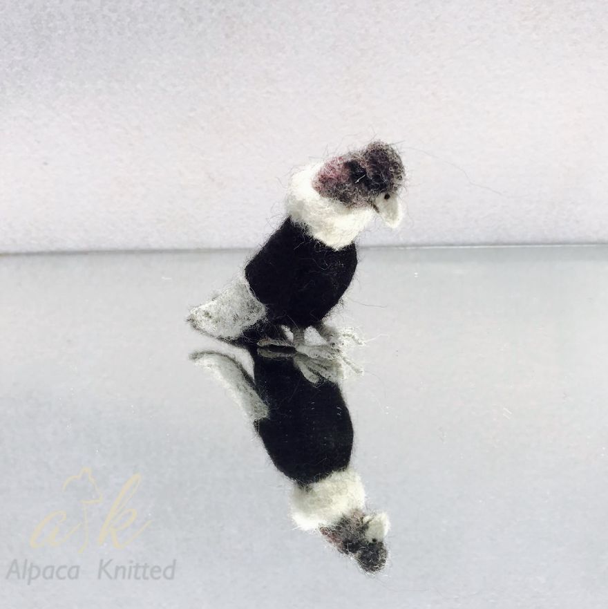 I Make Animal Figures From Peruvian Alpaca I Make Animal Figures From Peruvian Alpaca