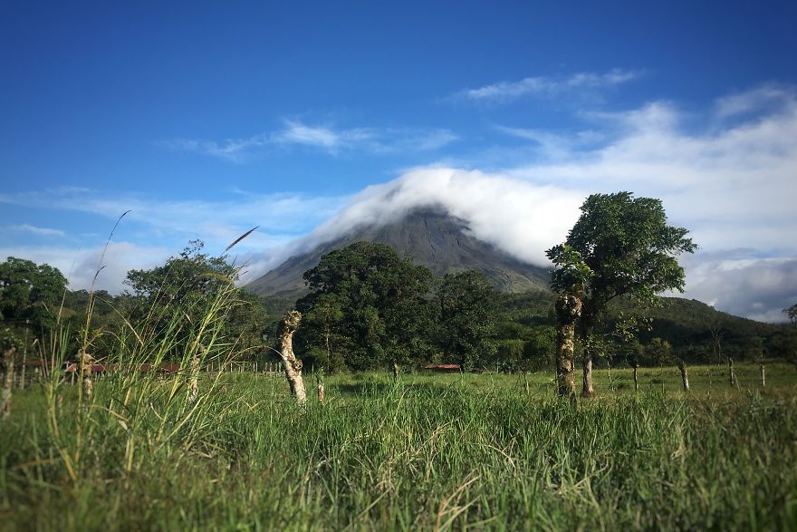 Why I'm Taking My 8 Year Old Daughter With Autism To The Forests Of The World Why I'm Taking My 8 Year Old Daughter With Autism To The Forests Of The World