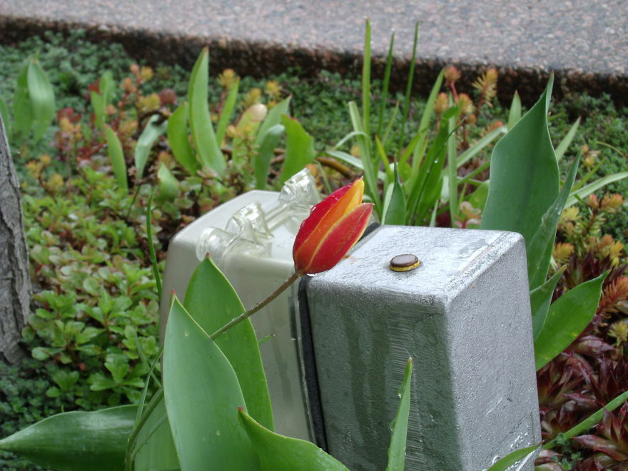 I Love Miniature Gardens!