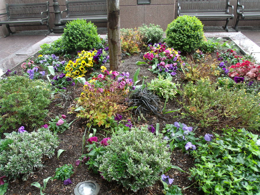 I Love Miniature Gardens!