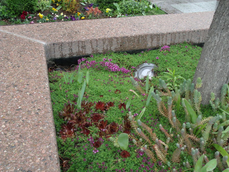 I Love Miniature Gardens!