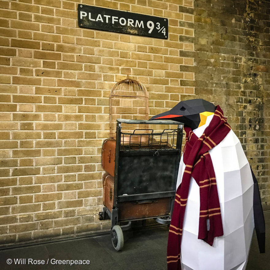 Paper Penguins Pop Up Around World To Share Urgent Message About Their Home Paper Penguins Pop Up Around World To Share Urgent Message About Their Home