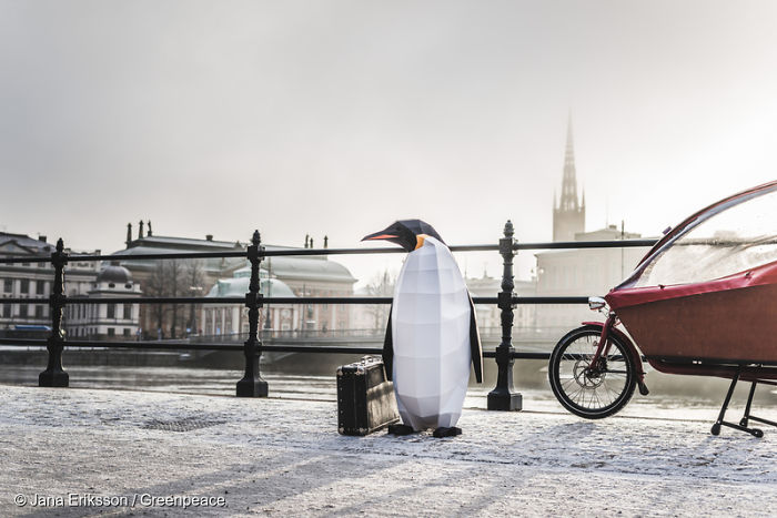 Paper Penguins Pop Up Around World To Share Urgent Message About Their Home