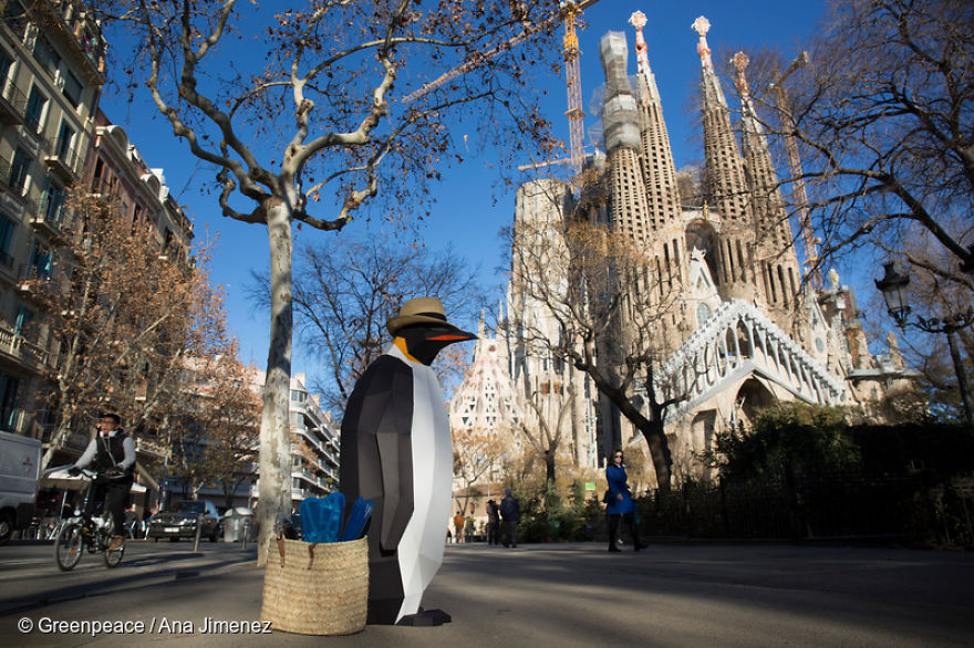 Paper Penguins Pop Up Around World To Share Urgent Message About Their Home Paper Penguins Pop Up Around World To Share Urgent Message About Their Home