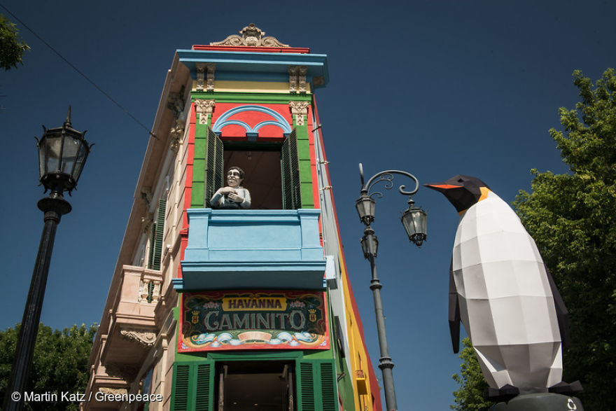 Paper Penguins Pop Up Around World To Share Urgent Message About Their Home Paper Penguins Pop Up Around World To Share Urgent Message About Their Home