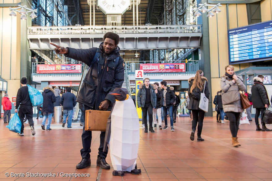 Paper Penguins Pop Up Around World To Share Urgent Message About Their Home Paper Penguins Pop Up Around World To Share Urgent Message About Their Home