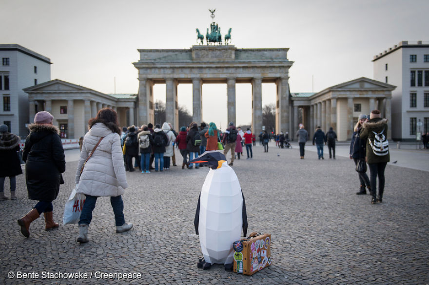 Paper Penguins Pop Up Around World To Share Urgent Message About Their Home Paper Penguins Pop Up Around World To Share Urgent Message About Their Home