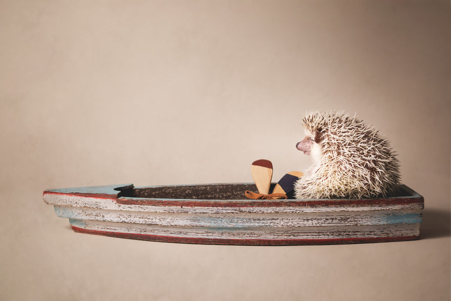 Hangry Haru The Hedgehog