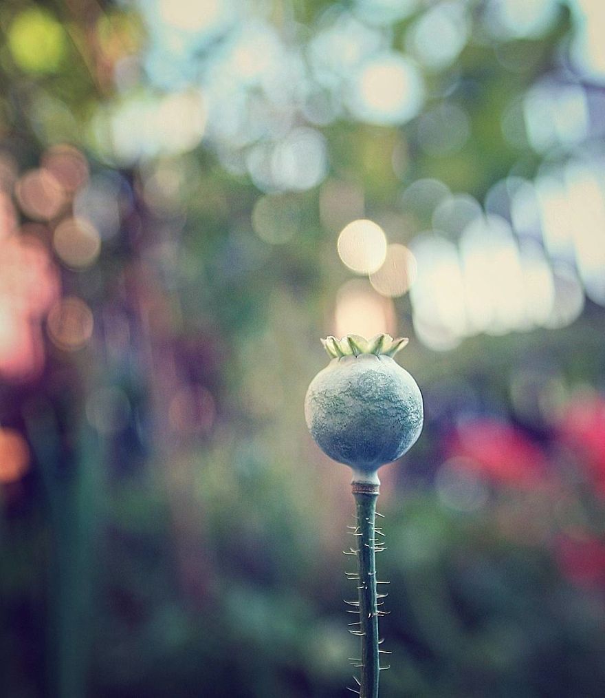 Hi I'm Grace And I Paint With My Camera