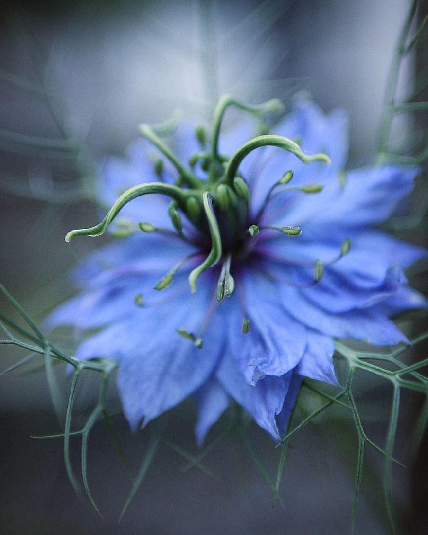 Hi I'm Grace And I Paint With My Camera