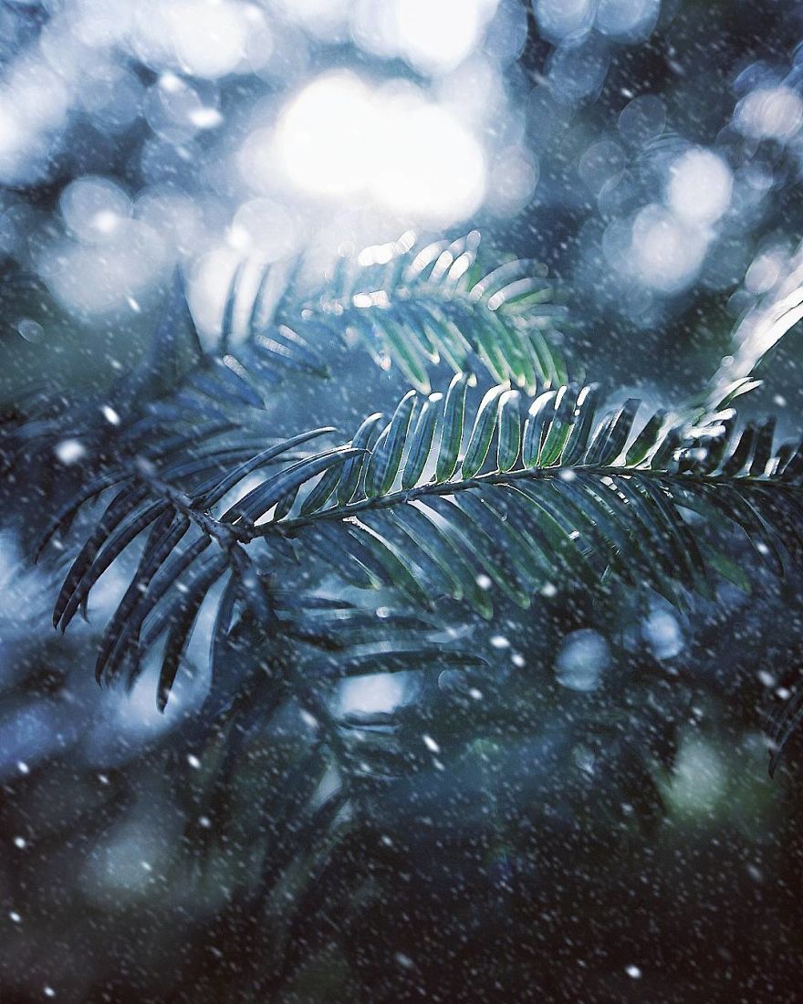 Hi I'm Grace And I Paint With My Camera