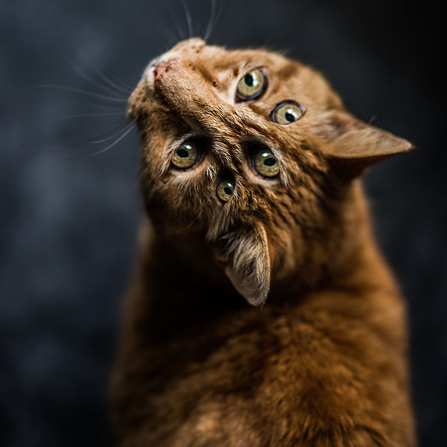 I Make Surreal And Dreamy Artworks That Explore Psychological Mindfalls (Part 2)