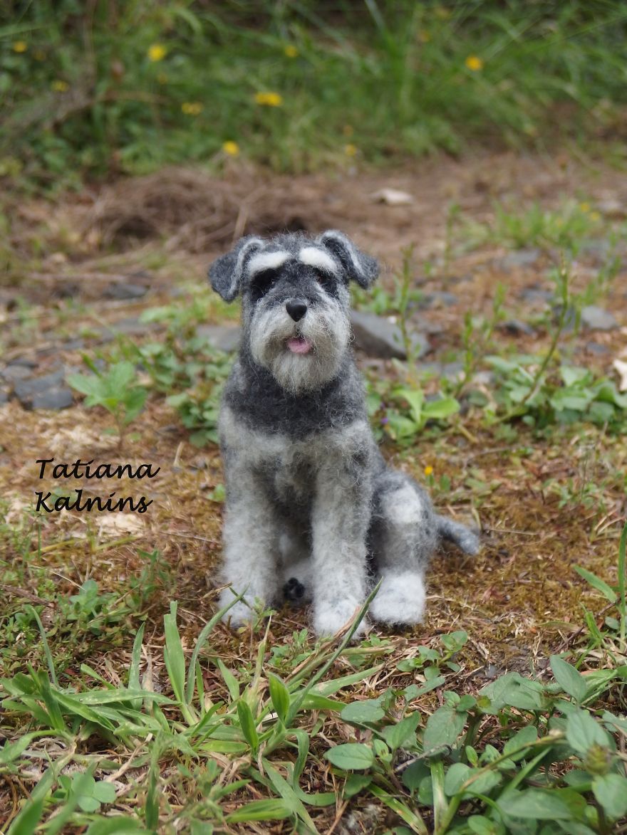 I Create Highly Realistic Needle Felted Miniature Dogs And Cats With Personality