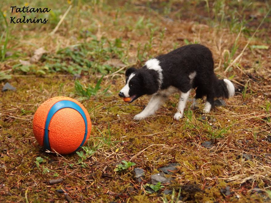 I Create Highly Realistic Needle Felted Miniature Dogs And Cats With Personality