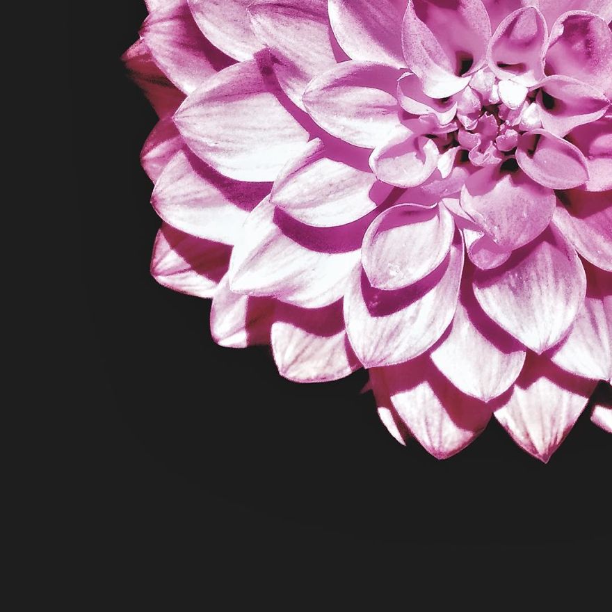 I Have Been Taking Pictures With My Iphone 5s, And Here Are Some Of My Photographs !