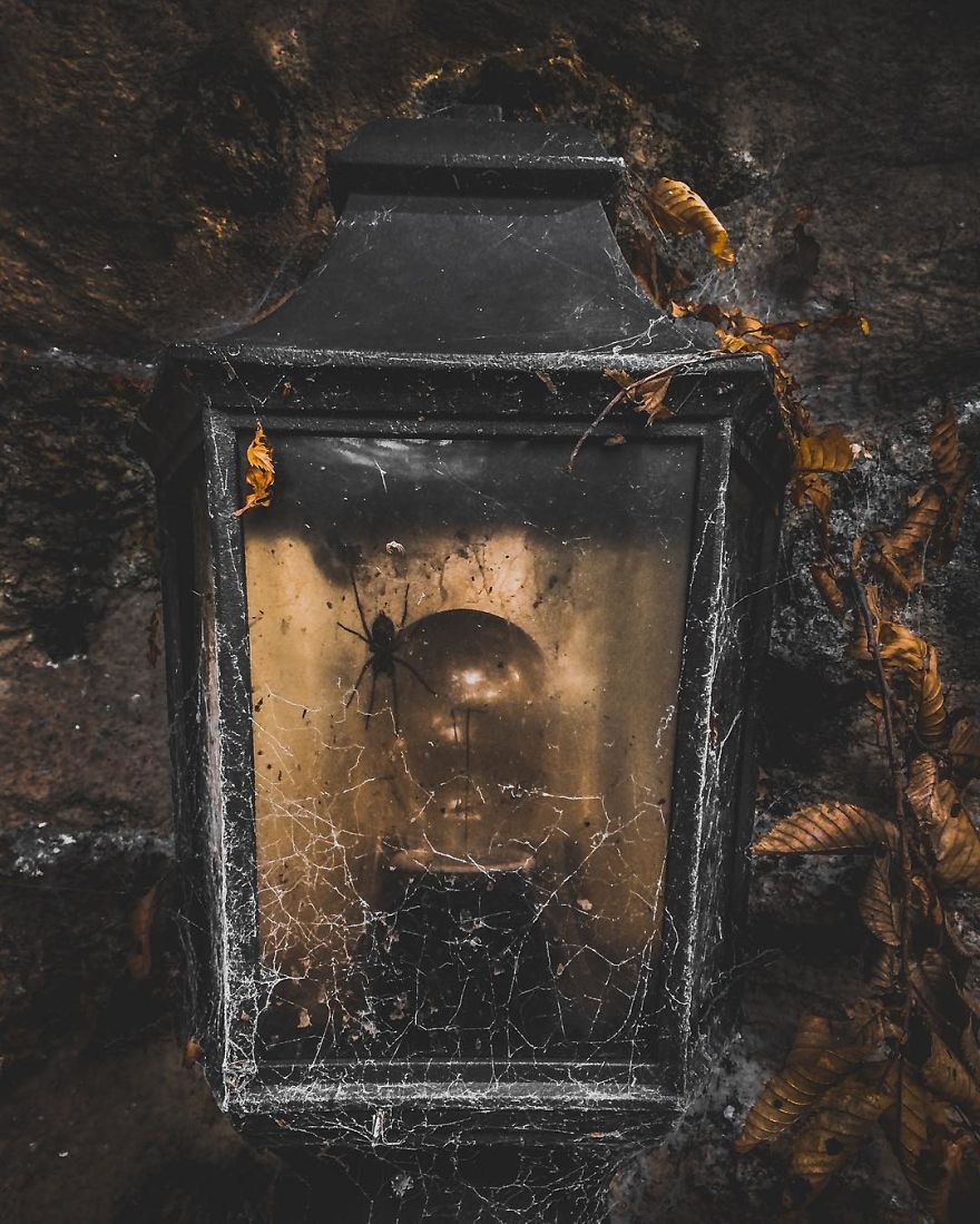 I Have Been Taking Pictures With My Iphone 5s, And Here Are Some Of My Photographs !