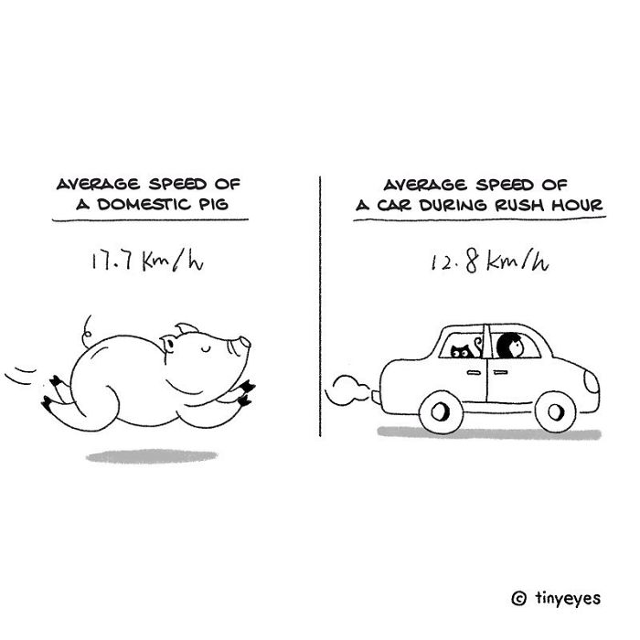 I Made These Comics To Compare Chinese Culture With Western Culture Through Everyday Life