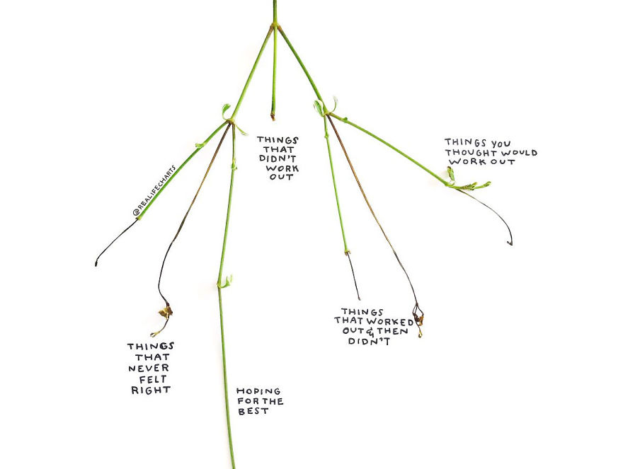 I Make Charts Out Of Everyday Objects I Make Charts Out Of Everyday Objects
