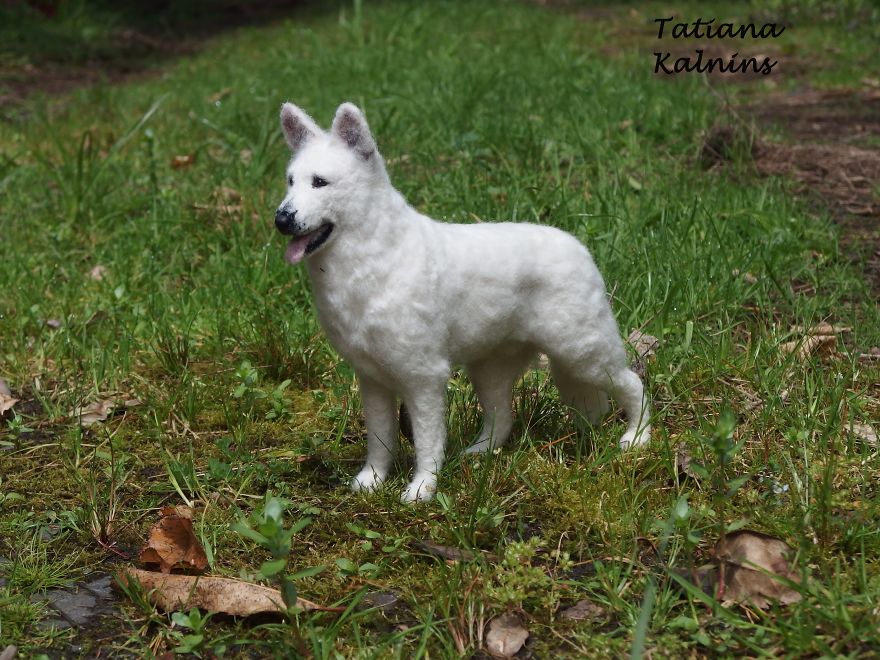 I Make Highly Realistic Needle Felted Dogs And Cats With Personality! I Make Highly Realistic Needle Felted Dogs And Cats With Personality!