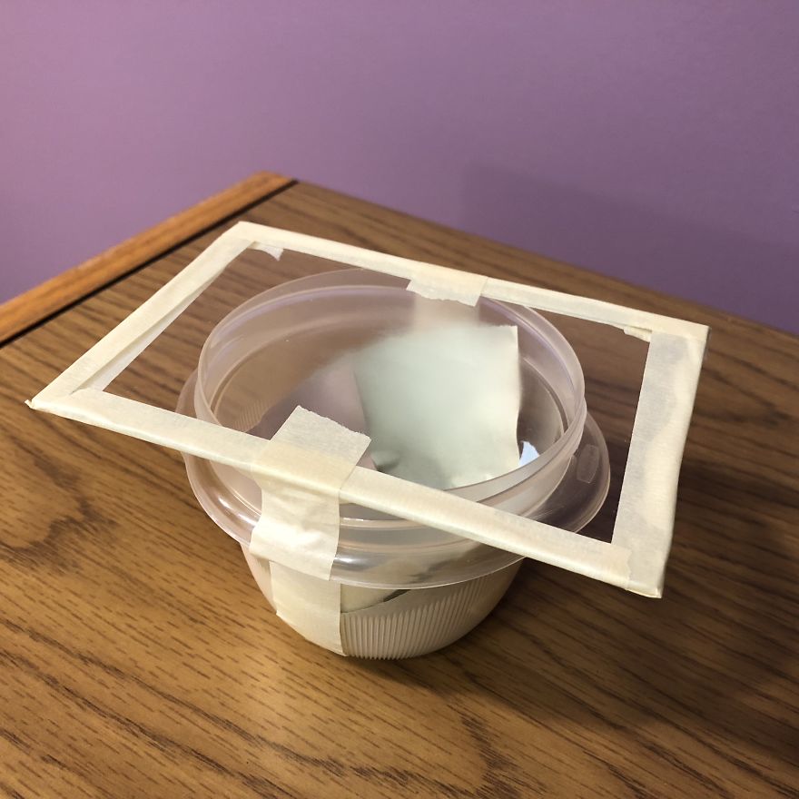 How To Photograph Macro Snowflakes At Home How To Photograph Macro Snowflakes At Home