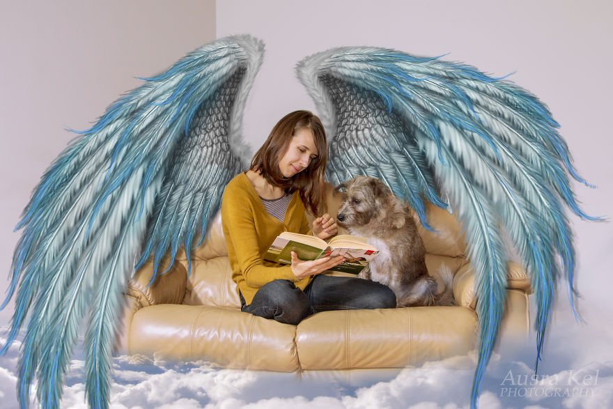 This Photographer Took Dogs From A Shelter And Created Another World For Them