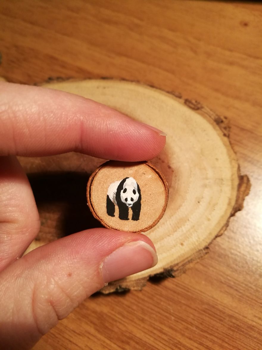 I Use Acrylics To Paint Intricate Little Animals On Small Slices Of Wood I Use Acrylics To Paint Intricate Little Animals On Small Slices Of Wood