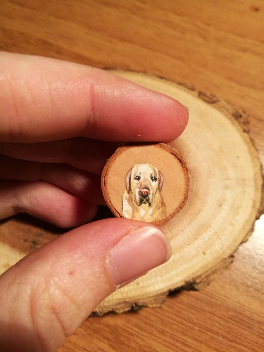 I Use Acrylics To Paint Intricate Little Animals On Small Slices Of Wood I Use Acrylics To Paint Intricate Little Animals On Small Slices Of Wood