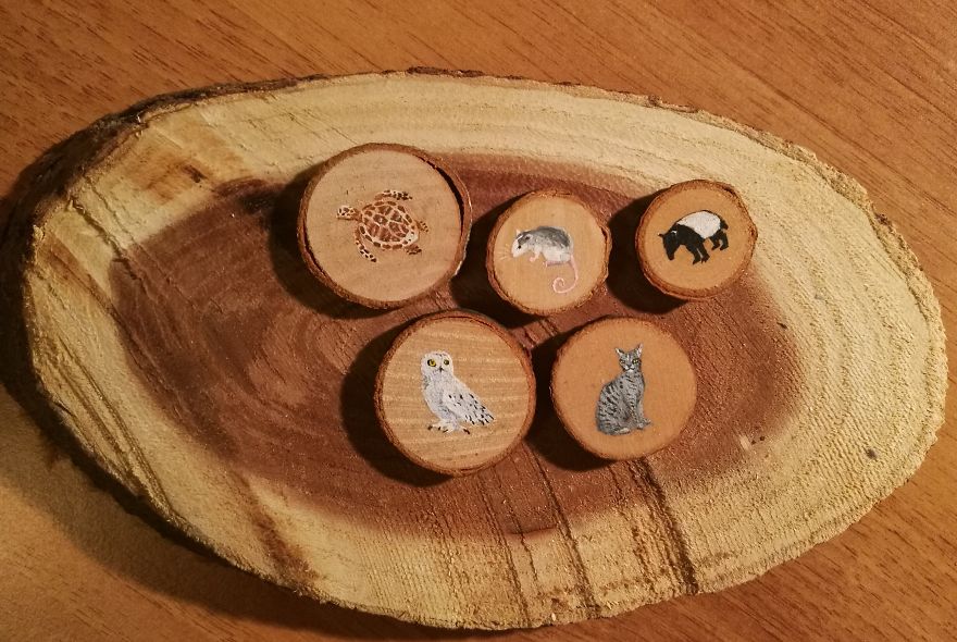 I Use Acrylics To Paint Intricate Little Animals On Small Slices Of Wood I Use Acrylics To Paint Intricate Little Animals On Small Slices Of Wood