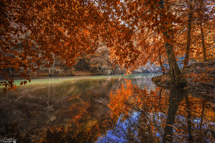 Autumn Tones From Turkey