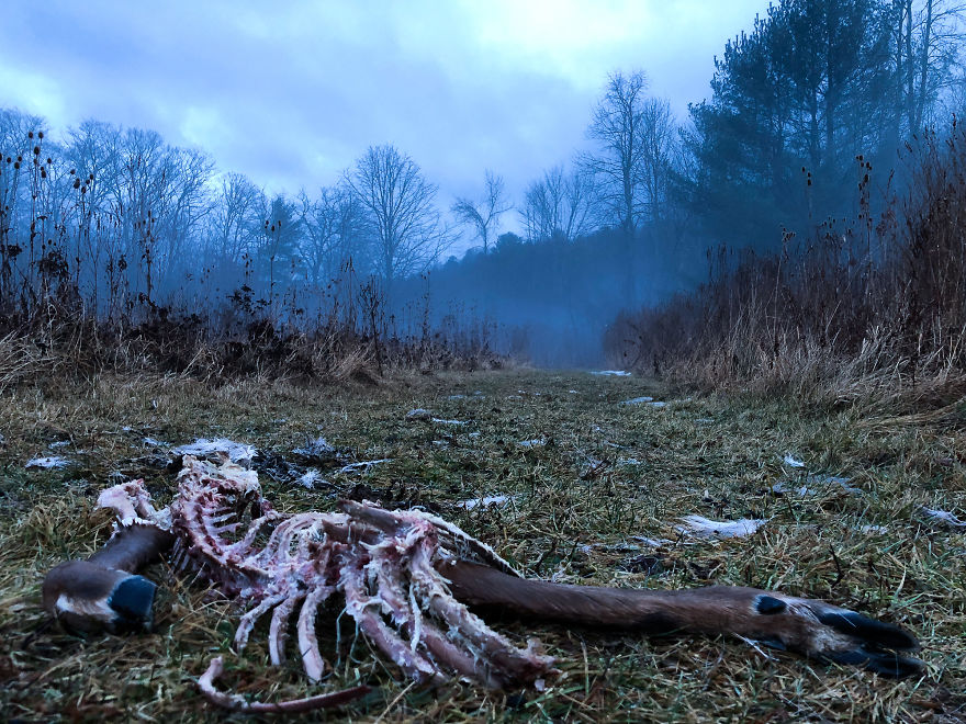 I Wanted To See What's Capable With An Iphone X Camera