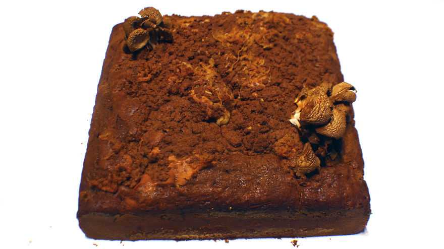 Incredible Cake Sculptures By Emerging Artist Incredible Cake Sculptures By Emerging Artist