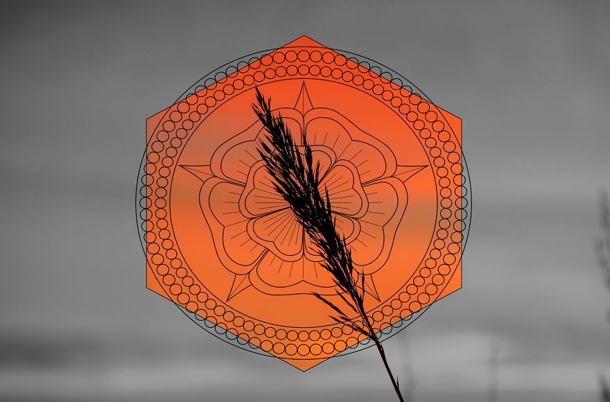 Geometry Vs. Nature: I Played With Forms And Shapes In My Pictures