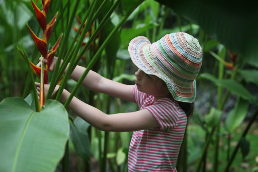 Why I'm Taking My 8 Year Old Daughter With Autism To The Forests Of The World