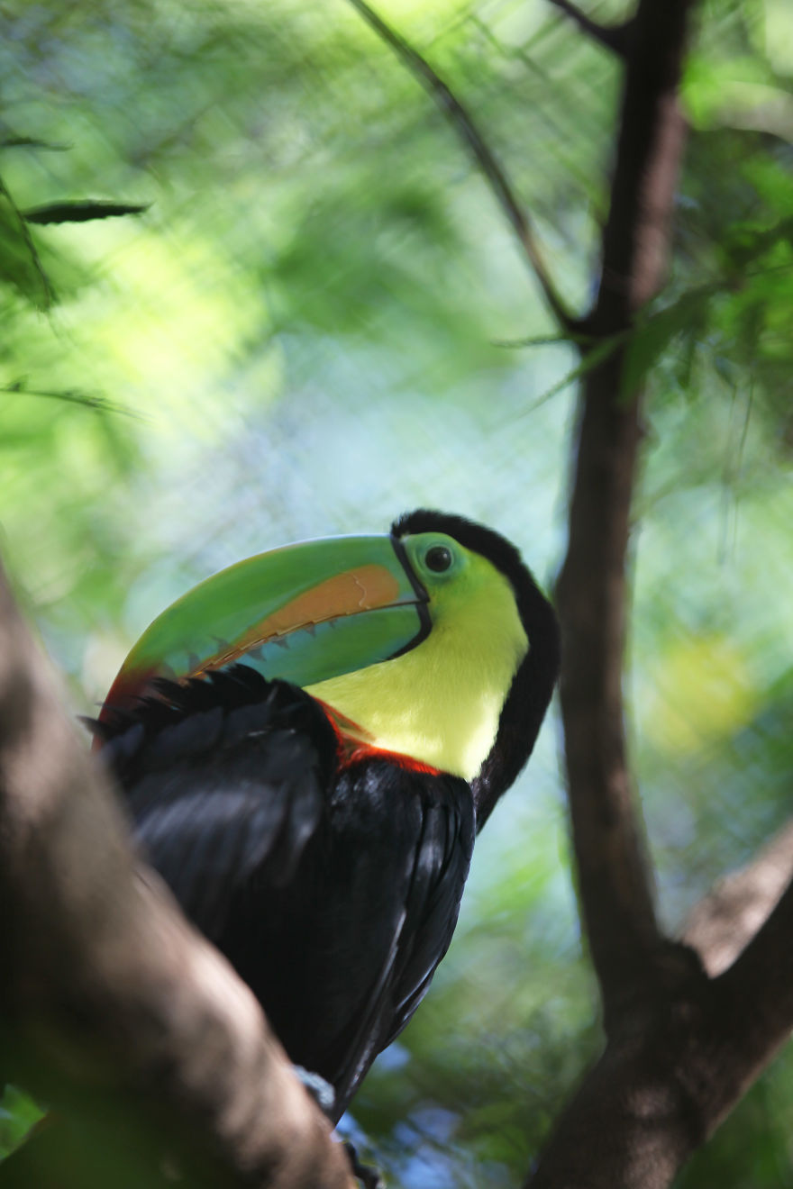 Why I'm Taking My 8 Year Old Daughter With Autism To The Forests Of The World