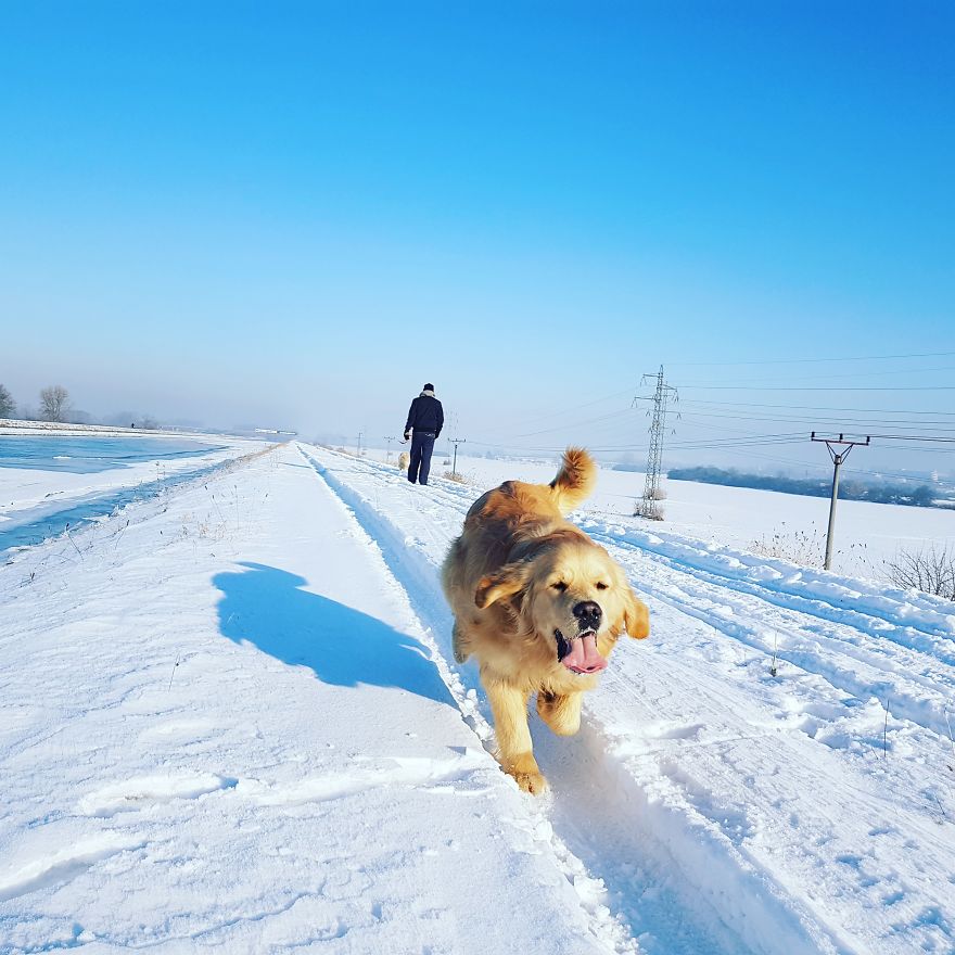 Let´s Spread Happy And Positive Mood By Our Photos With Our Golden Max