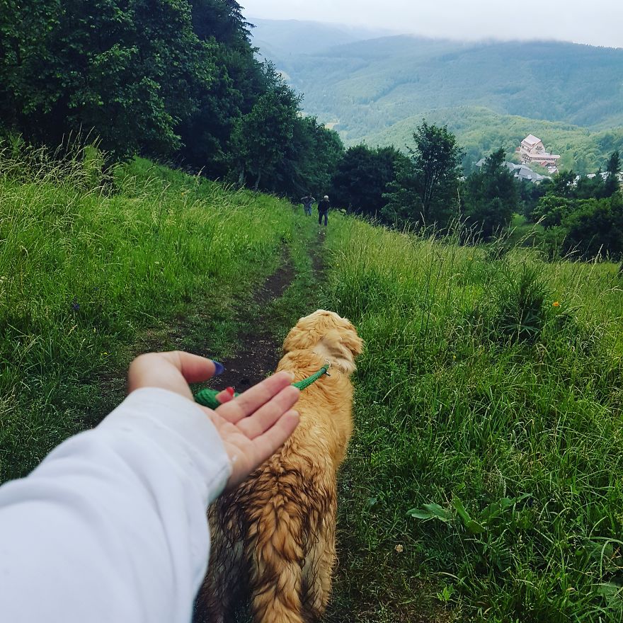 Let´s Spread Happy And Positive Mood By Our Photos With Our Golden Max Let´s Spread Happy And Positive Mood By Our Photos With Our Golden Max