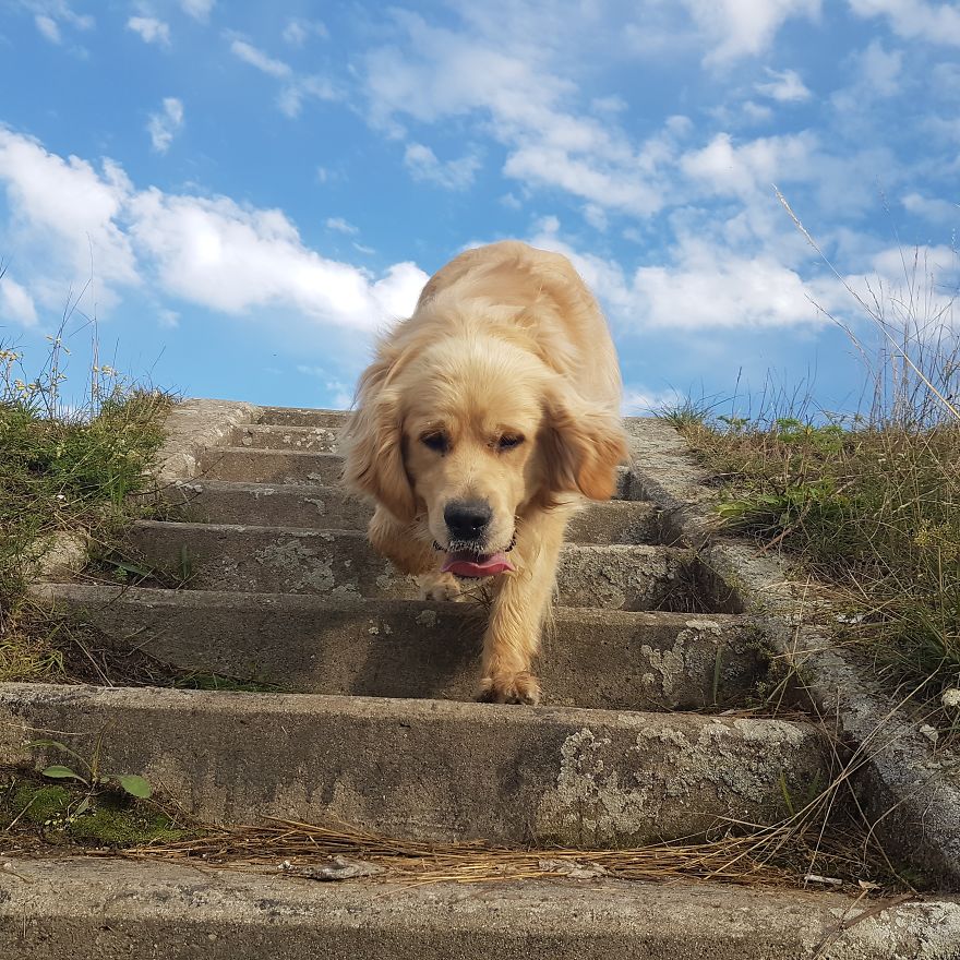 Let´s Spread Happy And Positive Mood By Our Photos With Our Golden Max